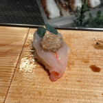 寿し さがみや - ぼたん海老