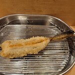 てんぷら 深町 - 女鯒