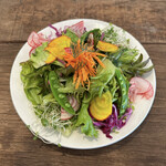 Roji Terasaki Kohi - Salad
