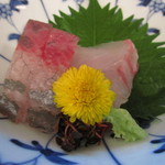 北新地 成司 - 刺身(鯛・はまち)