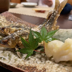 いのなかのかわず - 地物の鮎。