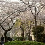 ビストロ グラース - 