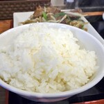 Chuuka Dainingu Tare - 大盛りご飯