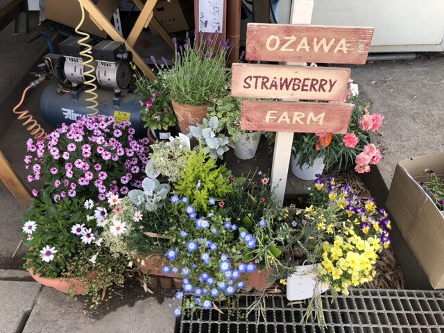 おざわ農園 - 鏡石（その他）の写真