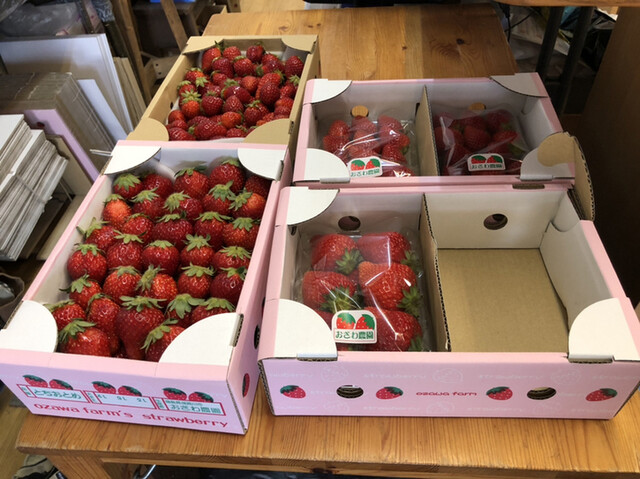 おざわ農園 - 鏡石（その他）の写真