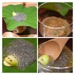 神保町 傳 - またまた驚きの品が登場。一瞬「ギョ！」次に「爆笑」
                                「蛙の卵」です。卵の正体は「バジルのタネ」蛙さんはソラマメです。
                                下には「トマト味のトコロテン」と「パッションフルーツのタネ」