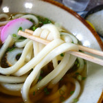 Shimabara Kou Tachigui Udon - 