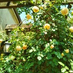 小笠原伯爵邸 - 