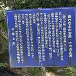 手打そば優心 - 「ケヤキ水源」説明