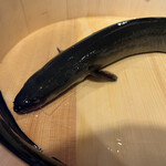 志じみ茶屋 湖舟 - 