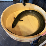 志じみ茶屋 湖舟 - 