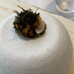 レミニセンス - 雲丹