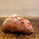 Sushi Matsuura - 