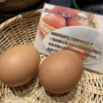 ふじや - 那須御用卵