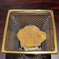 料理屋 植むら - 