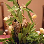 花仙庵 仙仁温泉 岩の湯 - 