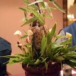 花仙庵 仙仁温泉 岩の湯 - 