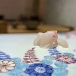 鮓 きずな - 明石鯛