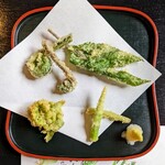 郷土料理ともん - 山菜の風味はまだまだ絶好調です