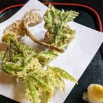 郷土料理ともん - コシアブラの香りもビンビンです