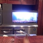 生けすの車海老。