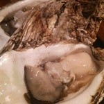 BEBE - 粒が大きいのです！