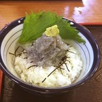 お食事処 渡舟 - 生しらすたっぷり丼 ゆず風味のだし旨い