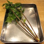 スガハラ - 米沢 こしあぶら