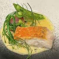 代官山ASO チェレステ 日本橋店 - 