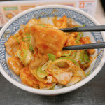 Yoshinoya - 