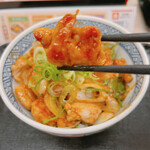 Yoshinoya - 