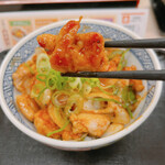 Yoshinoya - 