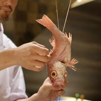 炭火割烹 麻布龍土町 - 