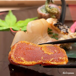 御料理 寺沢 - 自家製 唐墨の炙り焼