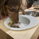 八ヶ岳わんわんパラダイス - 