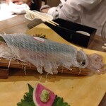 玄海の活魚と糸島直送の食 博多居酒屋 どげん海 - 