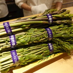 富小路 やま岸 - しおで、山のアスパラガスとも言われる希少な山菜