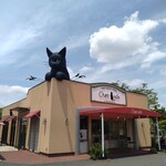 Chat noir - 