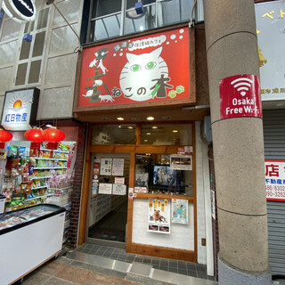 口コミ一覧 : 譲渡型保護猫カフェ ねこの木 - 十三/その他 [食べログ]