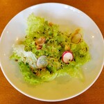 Pandozo cafe - 前菜（ミニサラダ）