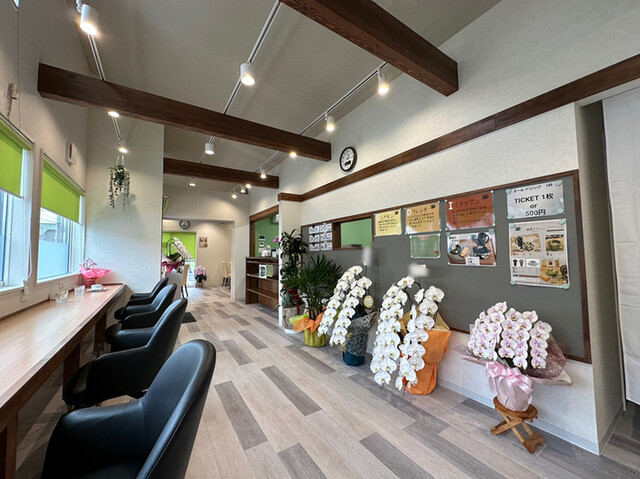 Kissa Kakashi photo 4