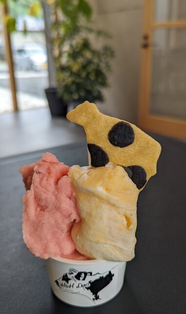 Ｈ&Ｈ Labo（エイチ&エイチ ラボ） - 東名（ジェラート・アイスクリーム）の写真