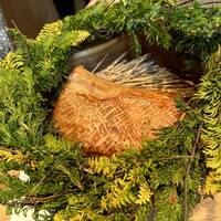 NeMo - スペイン産イベリコ豚