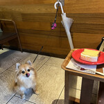 Neiba-Fuddo Ando Ko-Hi- - 血統書のない犬はちょっとこのセレブ空間ではソワソワしてしまいます。それにしてもガニ股かわいい。