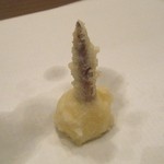 てんぷら 真 - クワイ