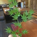 おぐら - 深緑のモミジを取ると・・・・