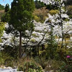 花仙庵 仙仁温泉 岩の湯 - 