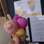 Le Glacier TOKACHI - トリプル 570円、コーン 30円(税込)。
                                ☆ドラゴンフルーツ案とライチのソルベ。
                                ☆スイカソルベ。
                                ☆デコポン。