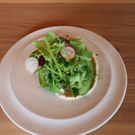 さじこよみ - 柑橘のドレッシングもかかってる