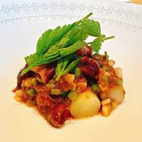 NeMo - ホタルイカ